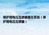 保护用电压互感器是在系统（保护用电压互感器）