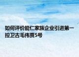 如何评价能仁家族企业引进第一控卫古毛伟贾5号