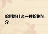 蛤蜊是什么一种蛤蜊简介
