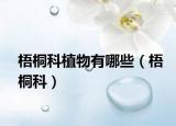 梧桐科植物有哪些（梧桐科）