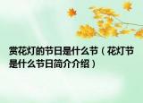 赏花灯的节日是什么节（花灯节是什么节日简介介绍）