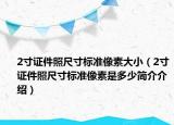 2寸证件照尺寸标准像素大小（2寸证件照尺寸标准像素是多少简介介绍）