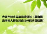 大理州鹤庆县草海镇镇长（草海镇 云南省大理白族自治州鹤庆县辖镇）
