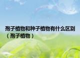 孢子植物和种子植物有什么区别（孢子植物）