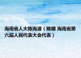 海南省人大陈海波（陈娜 海南省第六届人民代表大会代表）