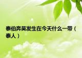 泰伯奔吴发生在今天什么一带（泰人）