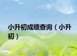 小升初成绩查询（小升初）