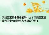 天线宝宝那个黄色的叫什么（天线宝宝里黄色的宝宝叫什么名字简介介绍）