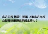 东方卫视 杨蕾（杨蕾 上海东方电视台新闻娱乐频道新闻主持人）