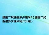 腰围二尺四是多少厘米?（腰围二尺四是多少厘米简介介绍）