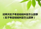 这两天肚子老是咕咕叫是怎么回事（肚子老是咕咕叫是怎么回事）