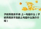 子欲养而亲不待 上一句是什么（子欲养而亲不在的上句是什么简介介绍）