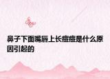 鼻子下面嘴唇上长痘痘是什么原因引起的