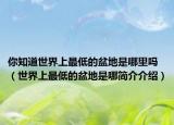 你知道世界上最低的盆地是哪里吗（世界上最低的盆地是哪简介介绍）