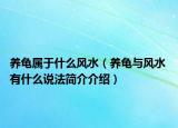 养龟属于什么风水（养龟与风水 有什么说法简介介绍）