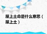 屋上土命是什么意思（屋上土）