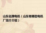 山东名牌电机（山东有哪些电机厂简介介绍）