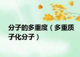 分子的多重度（多重质子化分子）