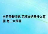 当日最新消息 花呗冻结是什么原因 有三大原因