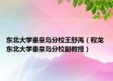 东北大学秦皇岛分校王舒禹（程龙 东北大学秦皇岛分校副教授）