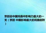京剧是中国戏曲中影响力最大的一支（京剧 中国影响最大的戏曲剧种）