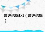 曾许诺殇txt（曾许诺殇）