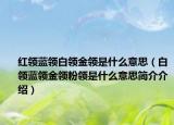 红领蓝领白领金领是什么意思（白领蓝领金领粉领是什么意思简介介绍）