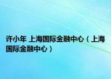 许小年 上海国际金融中心（上海国际金融中心）