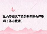 体内受精吃了紧急避孕药会怀孕吗（体内受精）