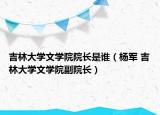 吉林大学文学院院长是谁（杨军 吉林大学文学院副院长）