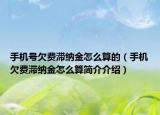手机号欠费滞纳金怎么算的（手机欠费滞纳金怎么算简介介绍）
