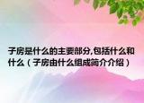 子房是什么的主要部分,包括什么和什么（子房由什么组成简介介绍）