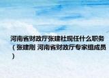 河南省财政厅张建社现任什么职务（张建刚 河南省财政厅专家组成员）