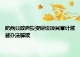 肥西县政府投资建设项目审计监督办法解读