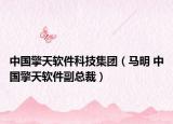 中国擎天软件科技集团（马明 中国擎天软件副总裁）