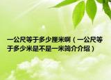 一公尺等于多少厘米啊（一公尺等于多少米是不是一米简介介绍）