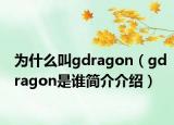 为什么叫gdragon（gdragon是谁简介介绍）