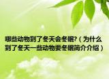 哪些动物到了冬天会冬眠?（为什么到了冬天一些动物要冬眠简介介绍）