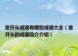意开头成语有哪些成语大全（意开头的成语简介介绍）