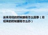 该来月经的时候腰疼怎么回事（月经来的时候腰疼怎么办）