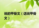 说的甲骨文（话说甲骨文）