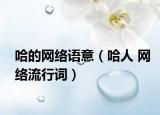 哈的网络语意（哈人 网络流行词）
