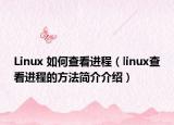 Linux 如何查看进程（linux查看进程的方法简介介绍）