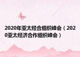 2020年亚太经合组织峰会（2020亚太经济合作组织峰会）
