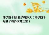 怀孕四个月,肚子有多大（怀孕四个月肚子有多大才正常）