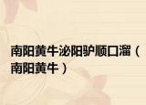 南阳黄牛泌阳驴顺口溜（南阳黄牛）
