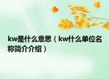 kw是什么意思（kw什么单位名称简介介绍）