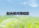 阳光樱井翔唱歌