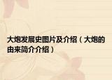 大炮发展史图片及介绍（大炮的由来简介介绍）