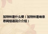 加特林是什么梗（加特林是啥意思网络语简介介绍）